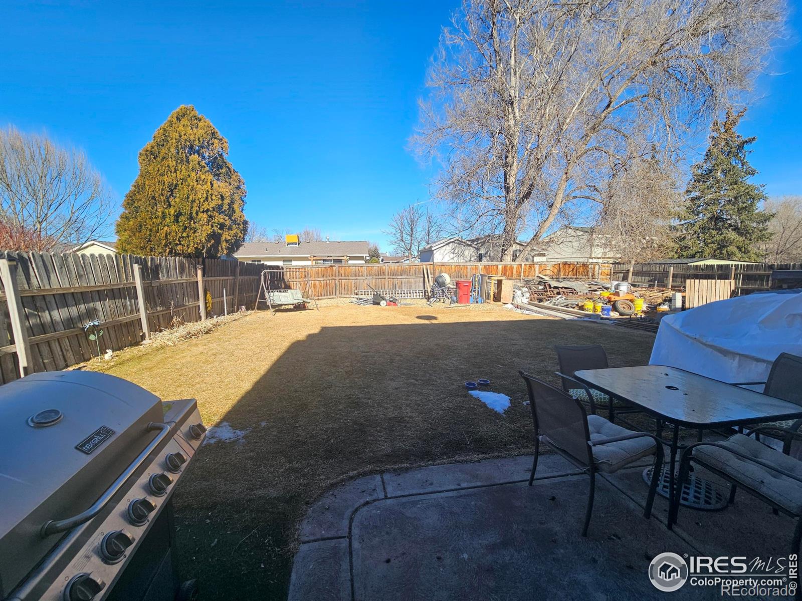 MLS Image #12 for 18  tulip court,windsor, Colorado