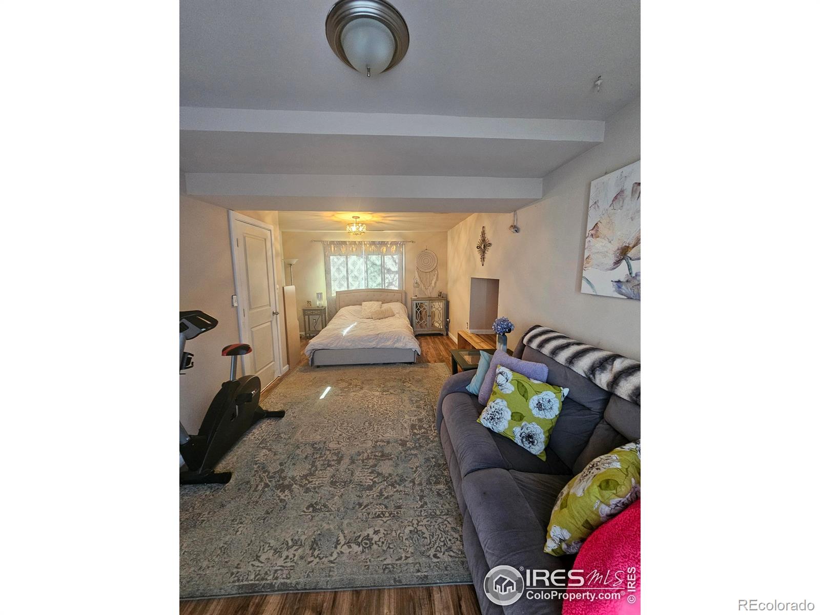 MLS Image #9 for 18  tulip court,windsor, Colorado