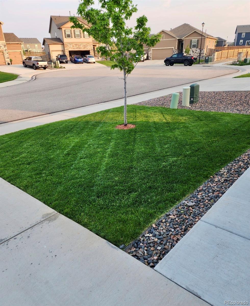 MLS Image #1 for 910  pierson court,windsor, Colorado