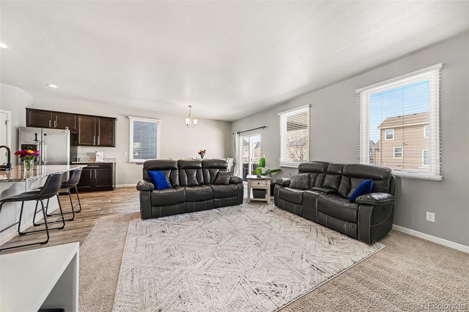 MLS Image #10 for 910  pierson court,windsor, Colorado