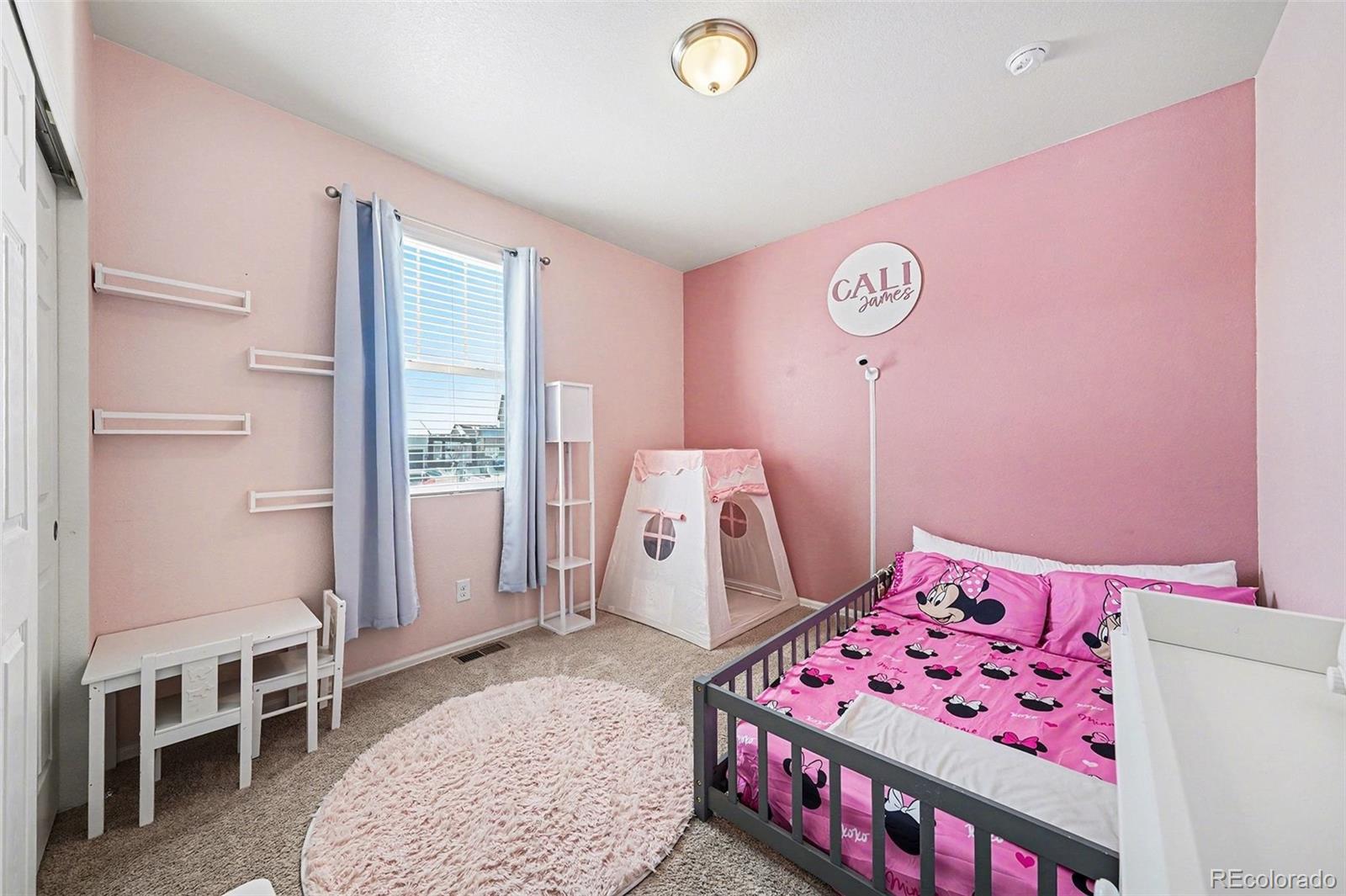 MLS Image #16 for 910  pierson court,windsor, Colorado