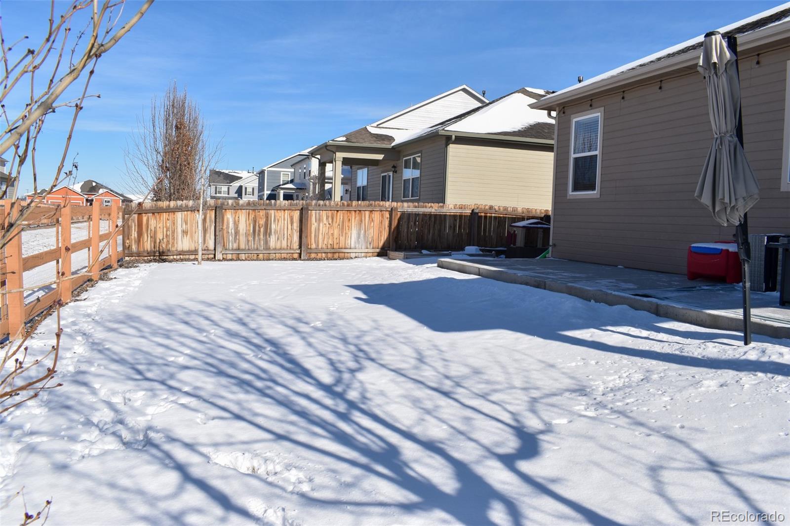 MLS Image #28 for 910  pierson court,windsor, Colorado