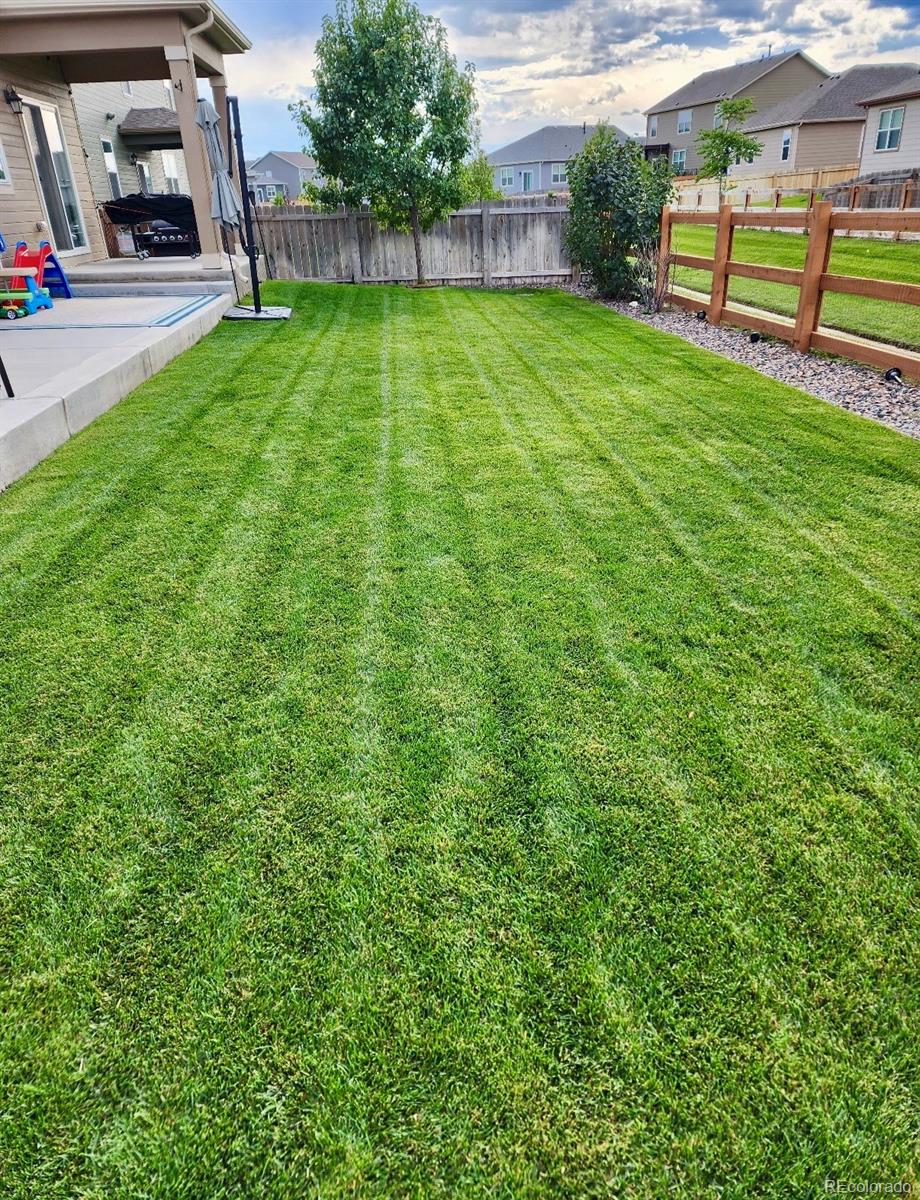 MLS Image #31 for 910  pierson court,windsor, Colorado