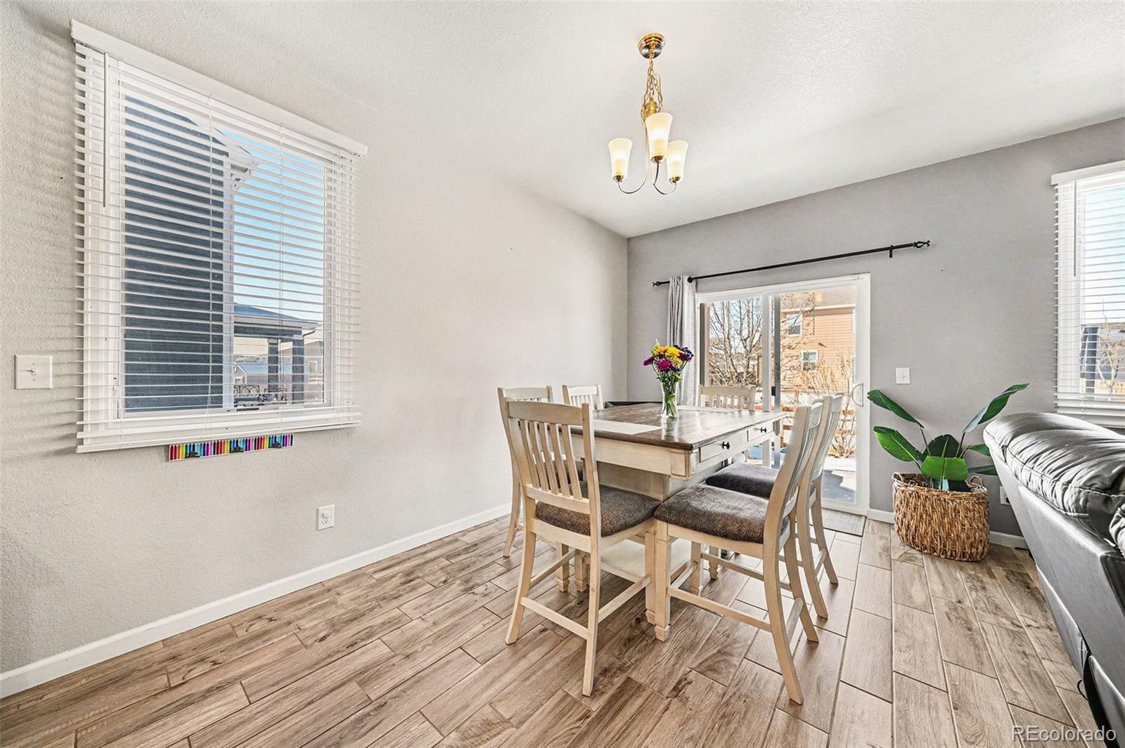 MLS Image #7 for 910  pierson court,windsor, Colorado