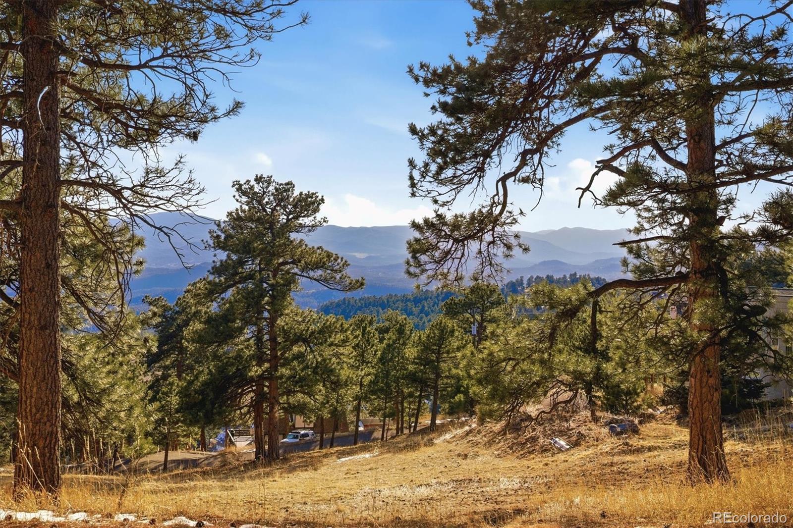 MLS Image #43 for 24999  grandview avenue,golden, Colorado