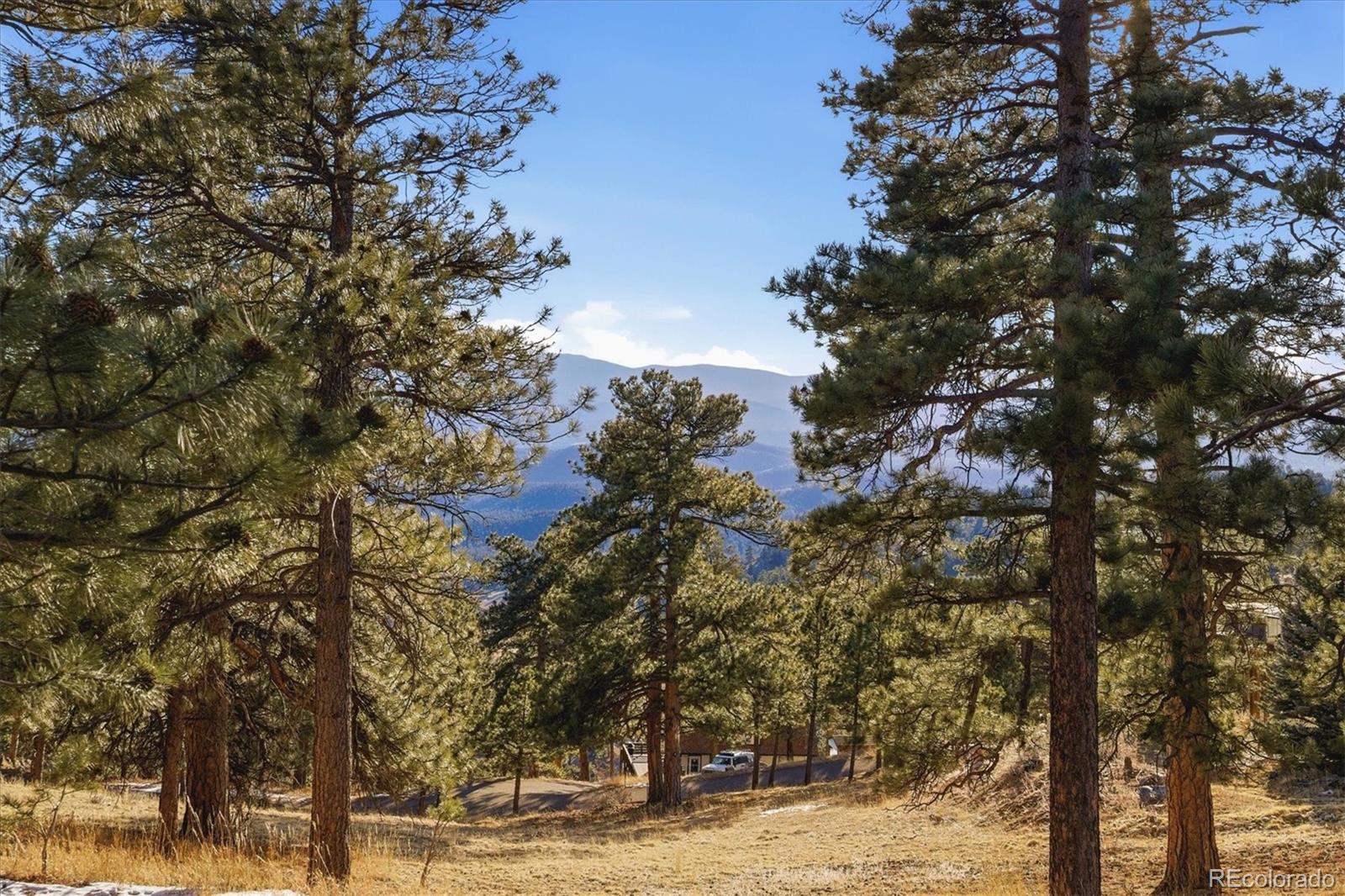 MLS Image #45 for 24999  grandview avenue,golden, Colorado