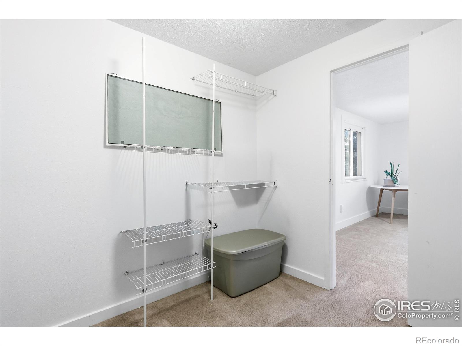 MLS Image #19 for 719  tundra place,longmont, Colorado