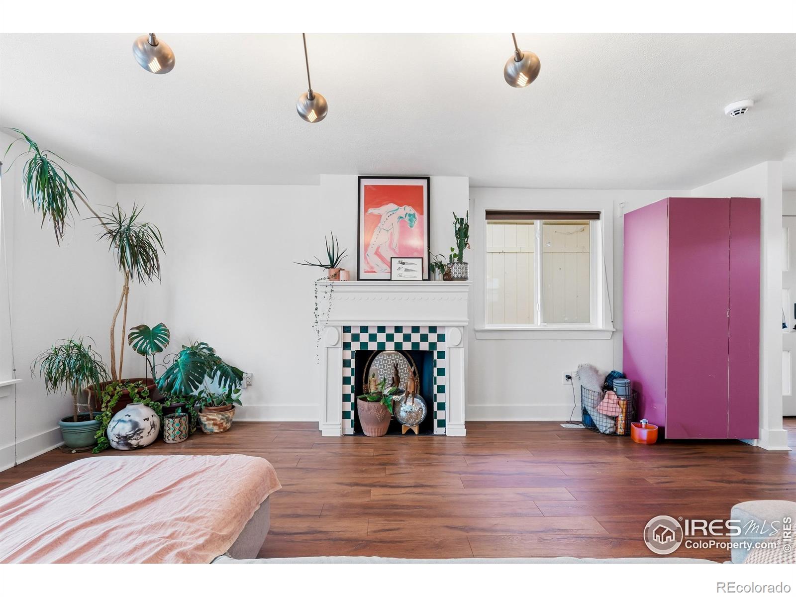 MLS Image #5 for 719  tundra place,longmont, Colorado
