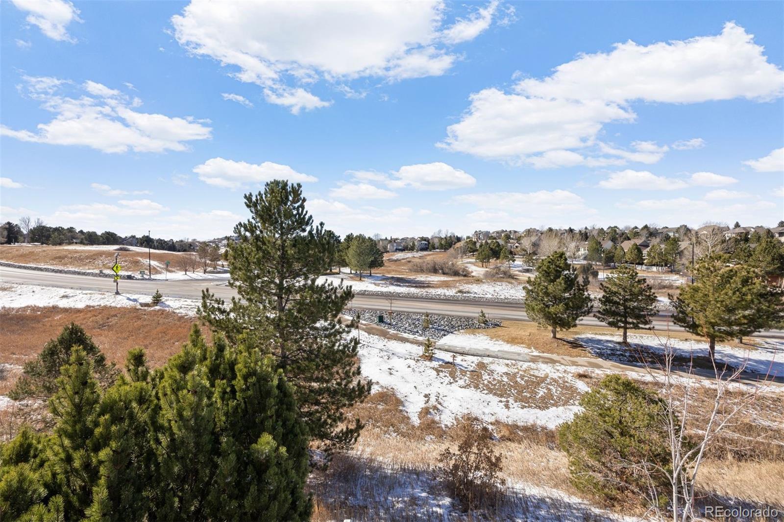 MLS Image #43 for 8333  briar trace way,castle pines, Colorado