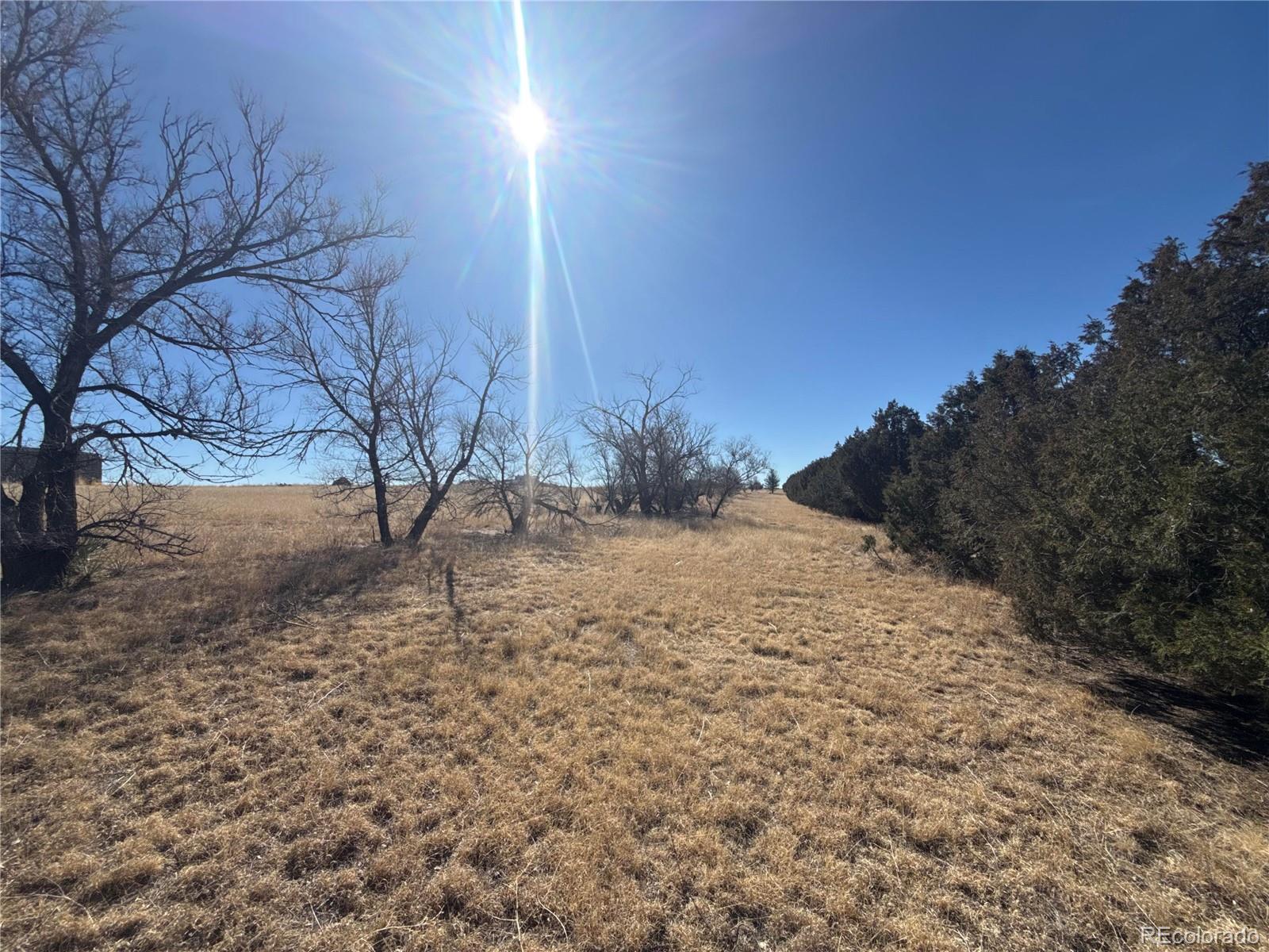 MLS Image #29 for 28894  us highway 24 ,stratton, Colorado