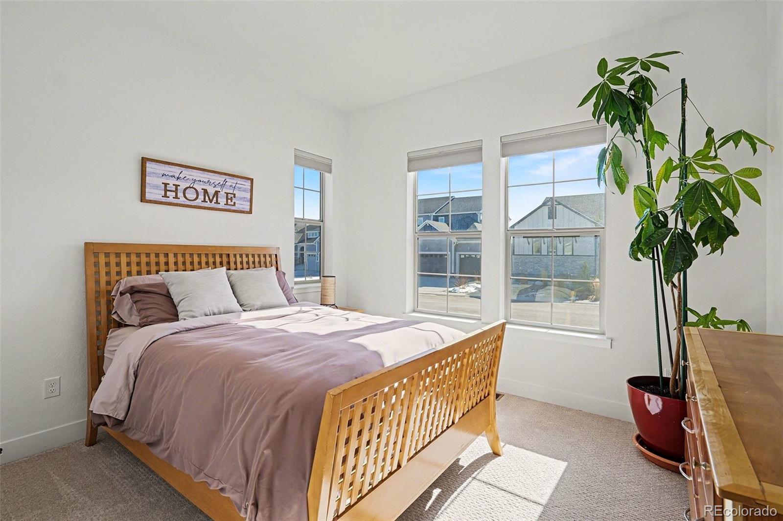 MLS Image #23 for 3367  carabiner street,castle rock, Colorado
