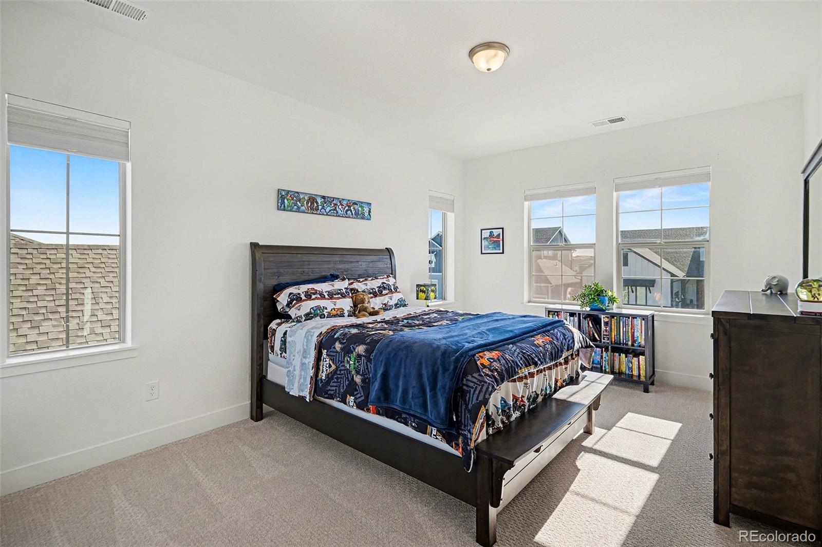 MLS Image #33 for 3367  carabiner street,castle rock, Colorado