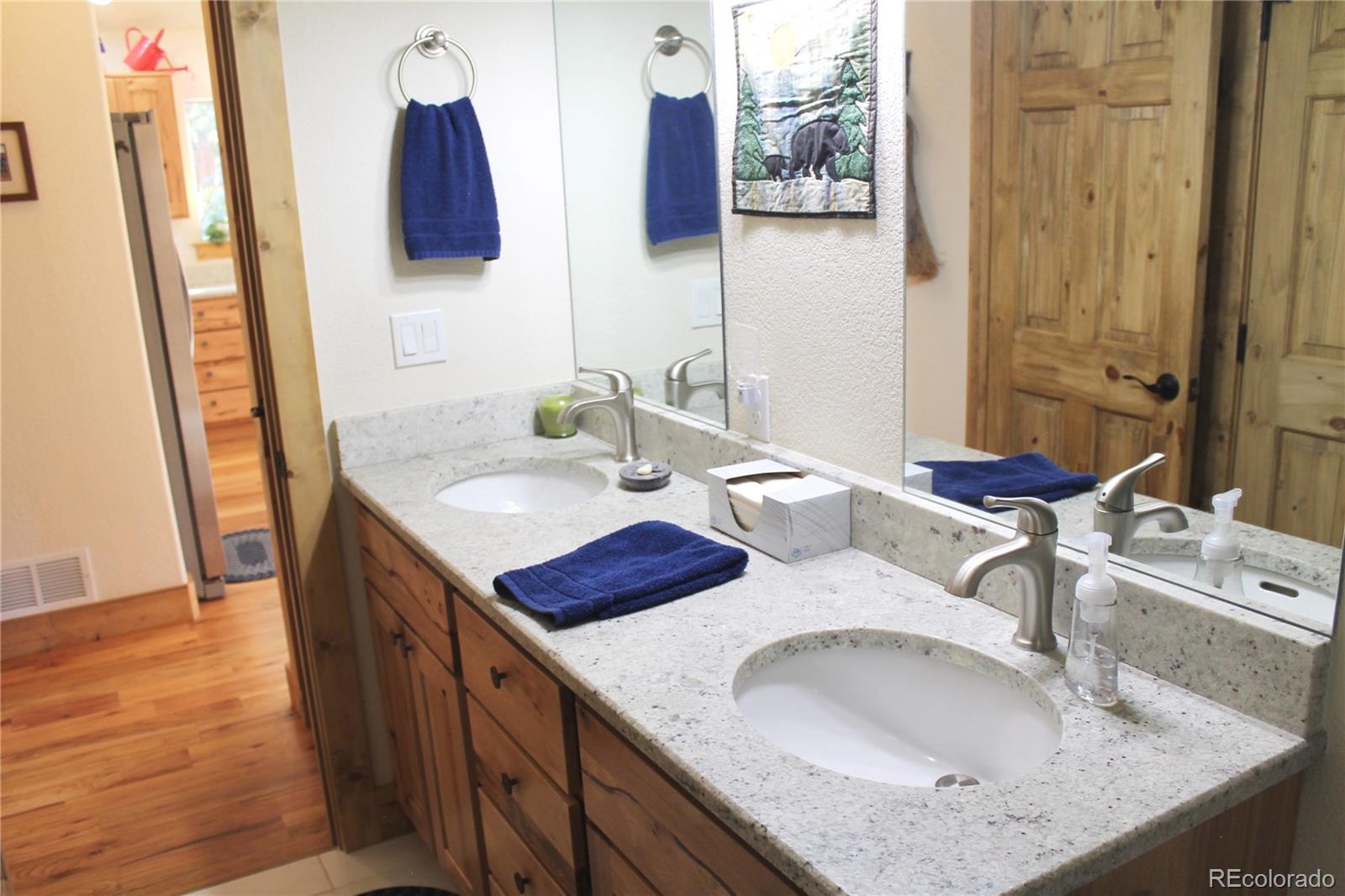 MLS Image #10 for 11845 s stallion drive,pine, Colorado