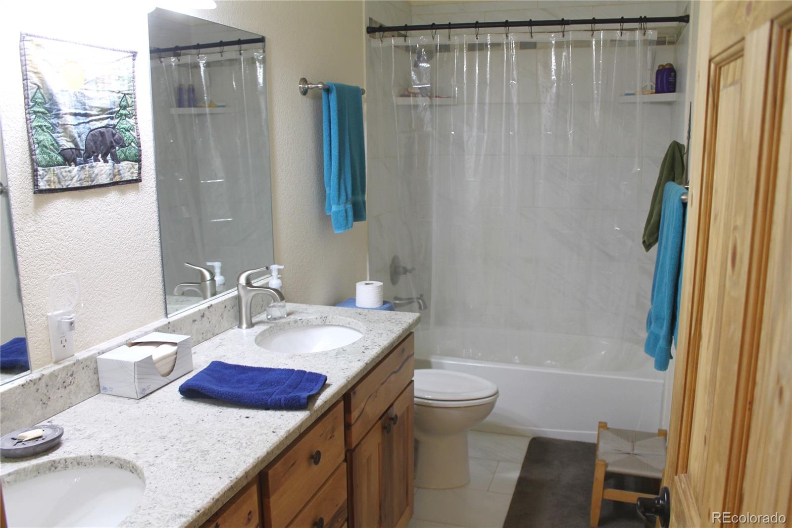 MLS Image #11 for 11845 s stallion drive,pine, Colorado