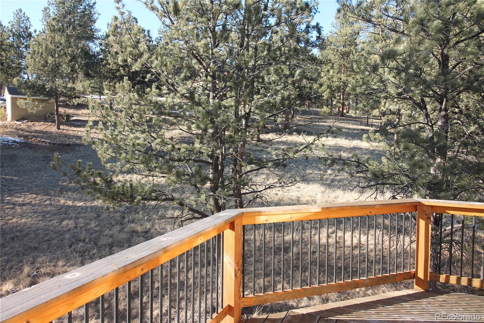 MLS Image #23 for 11845 s stallion drive,pine, Colorado