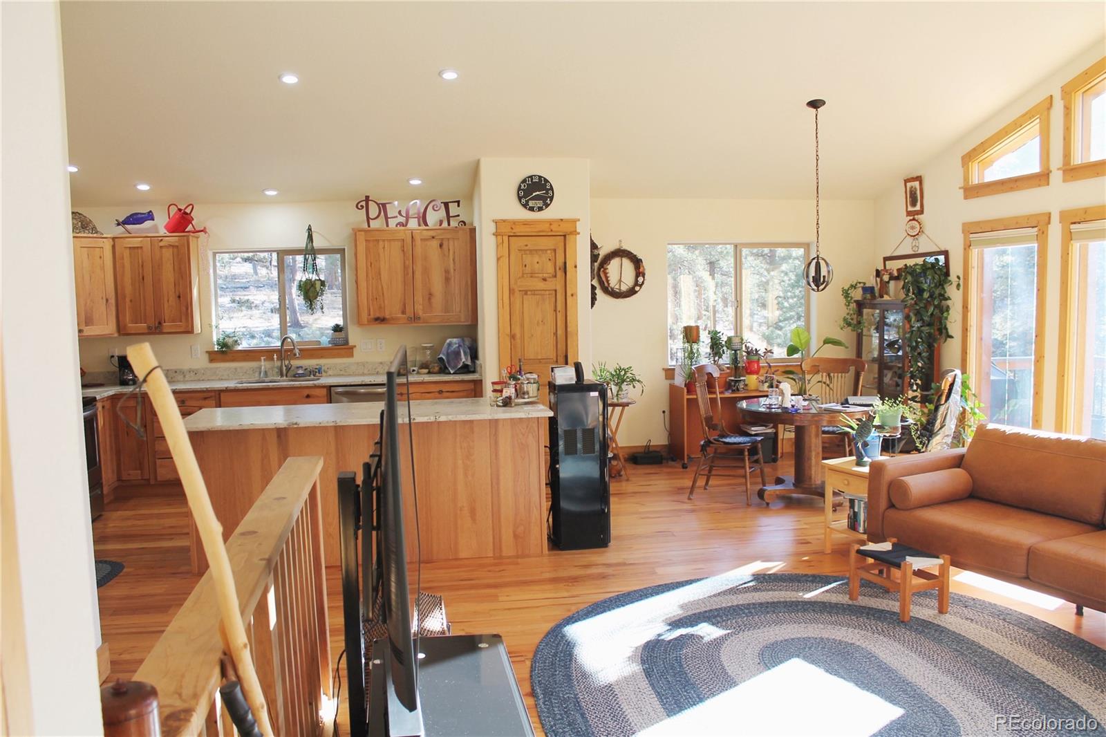 MLS Image #4 for 11845 s stallion drive,pine, Colorado