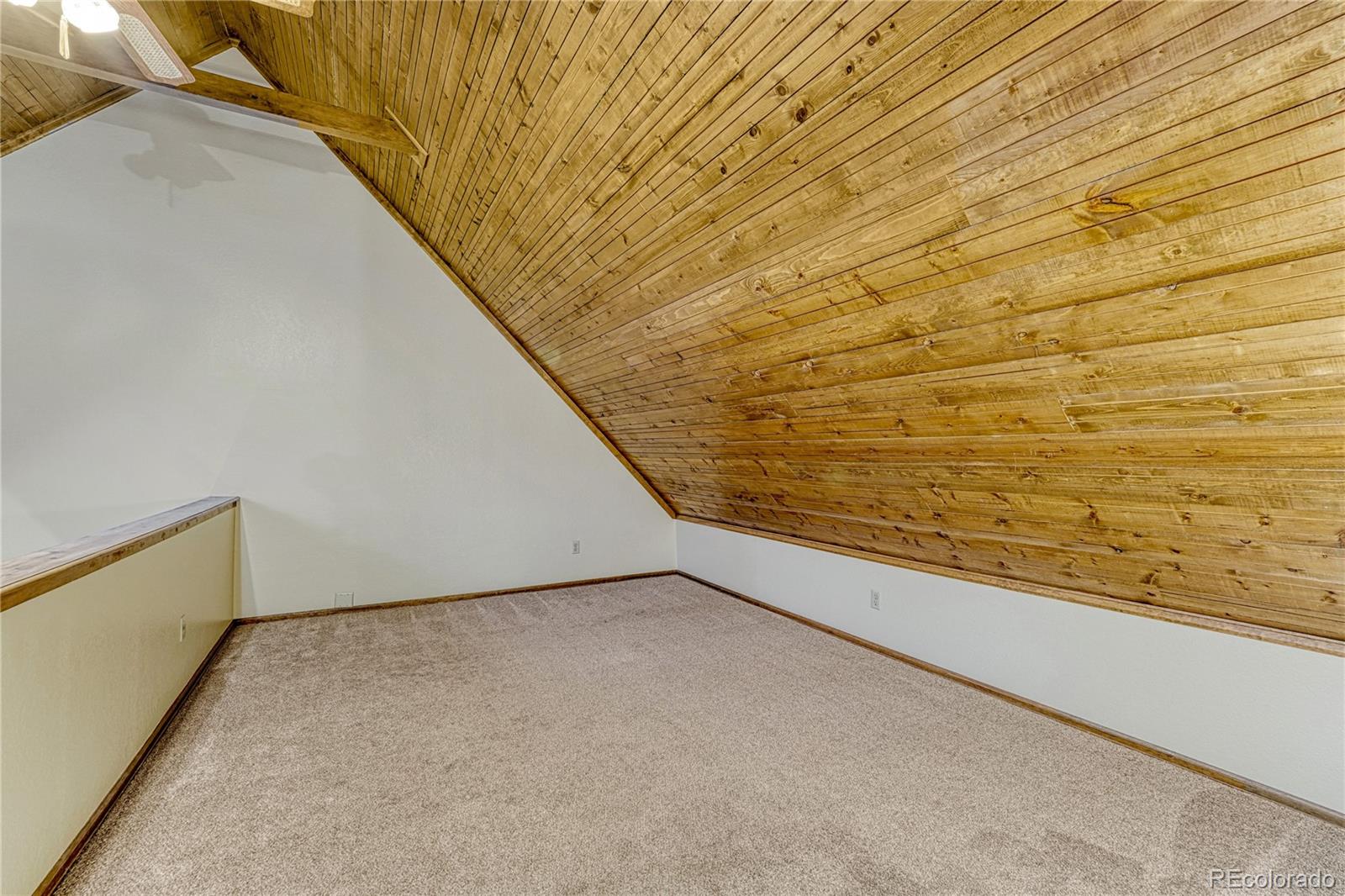 MLS Image #16 for 909 s west street,woodland park, Colorado