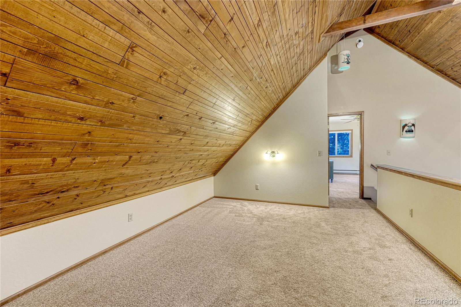 MLS Image #17 for 909 s west street,woodland park, Colorado
