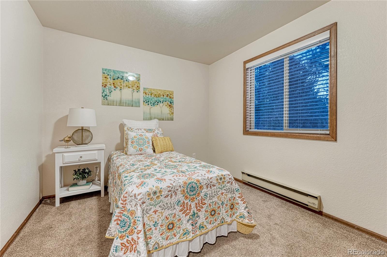 MLS Image #18 for 909 s west street,woodland park, Colorado