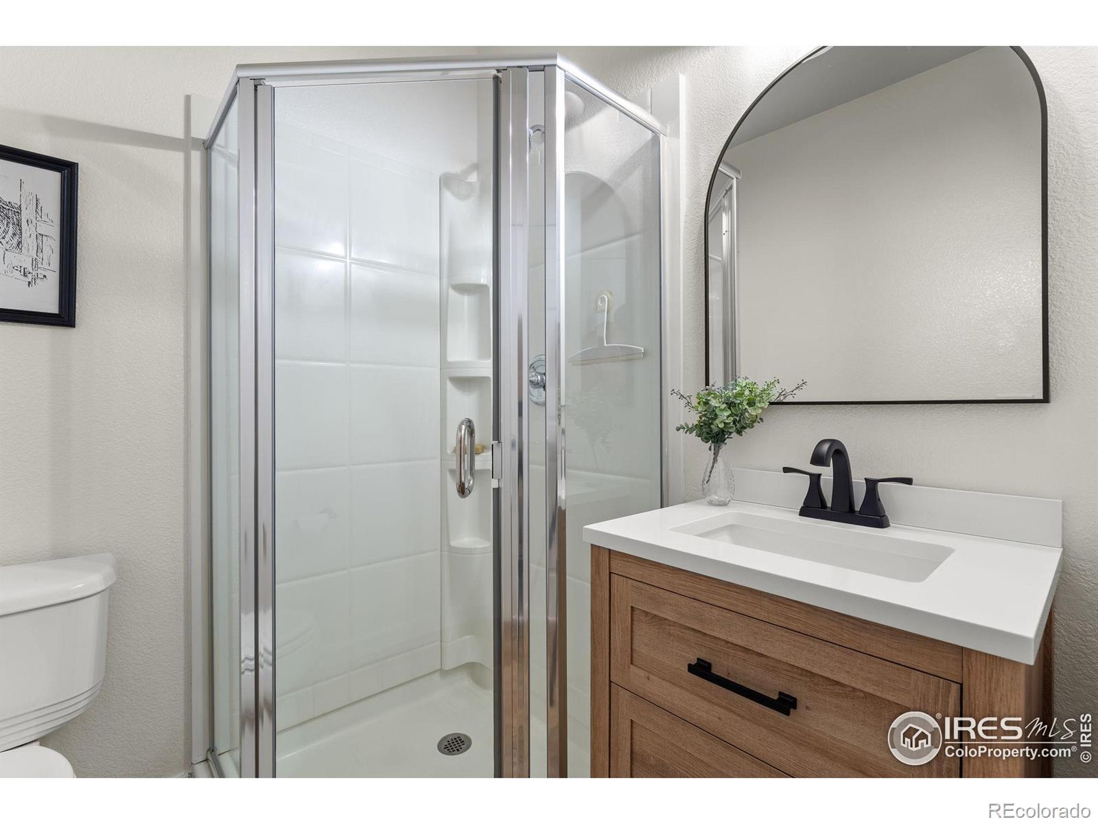 MLS Image #15 for 3431  vestal loop,broomfield, Colorado