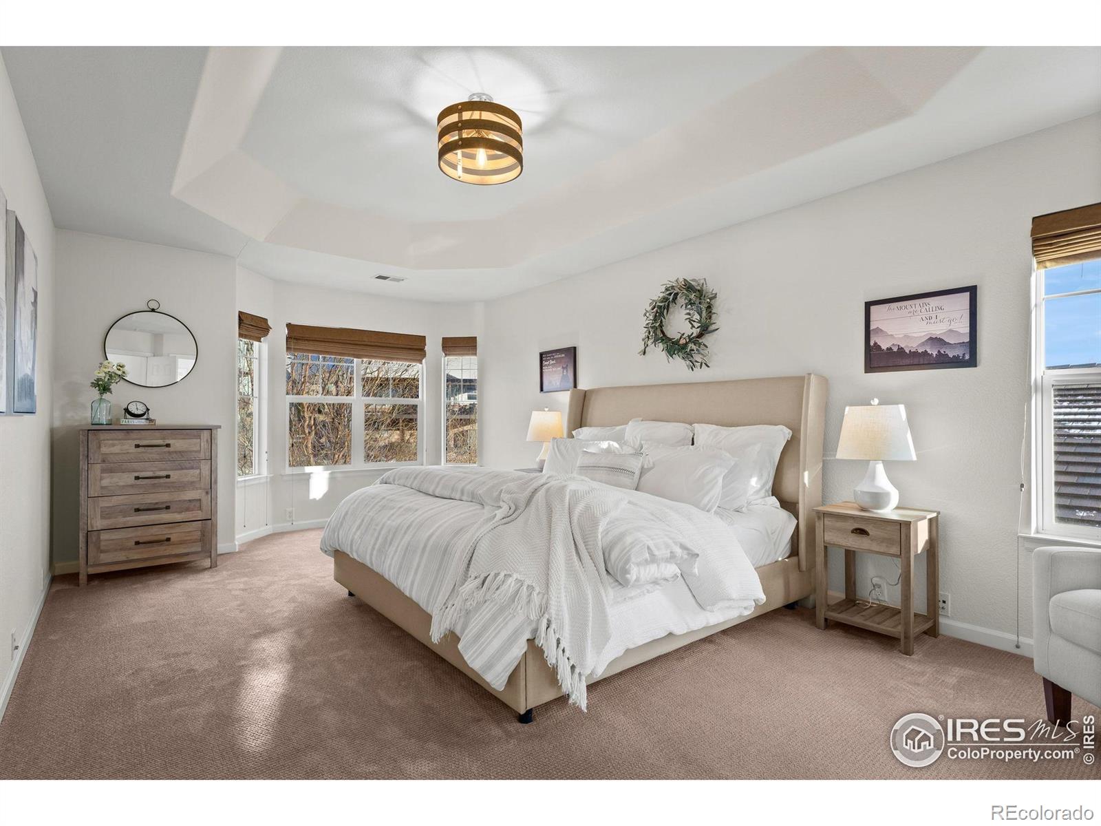 MLS Image #17 for 3431  vestal loop,broomfield, Colorado
