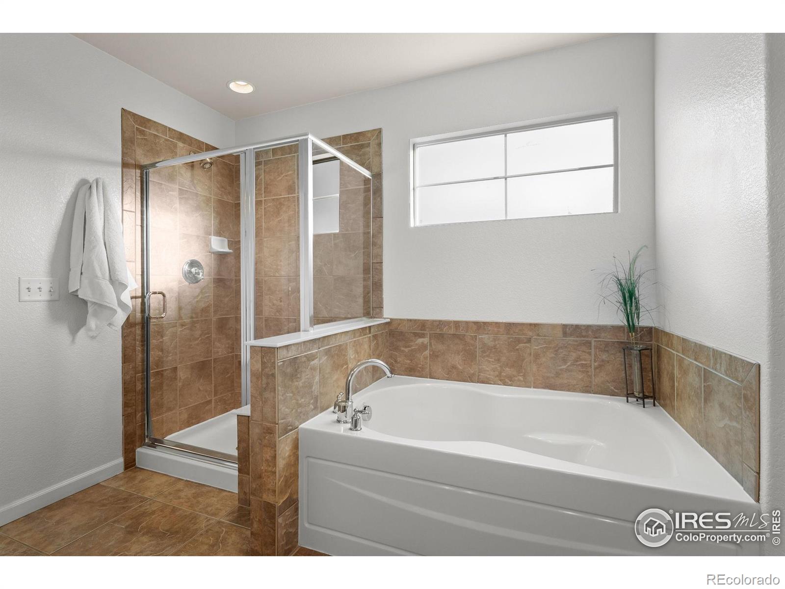 MLS Image #20 for 3431  vestal loop,broomfield, Colorado
