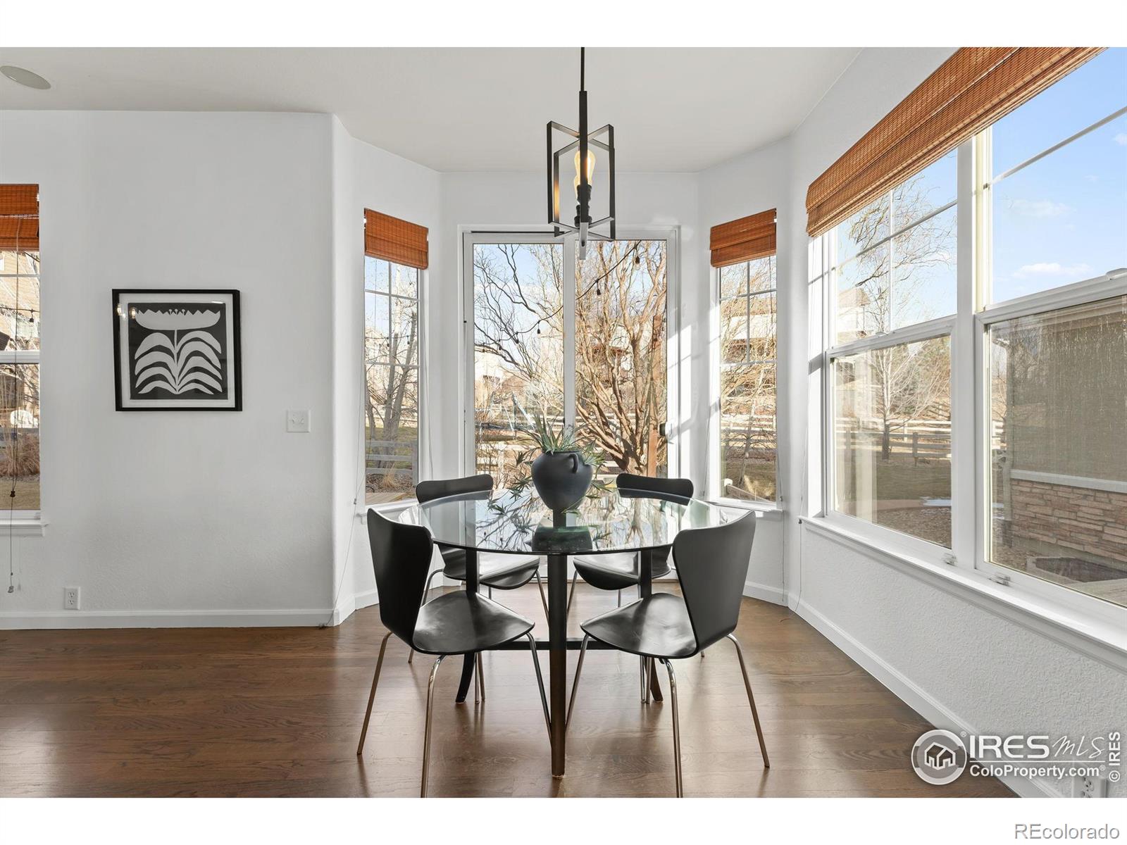 MLS Image #8 for 3431  vestal loop,broomfield, Colorado