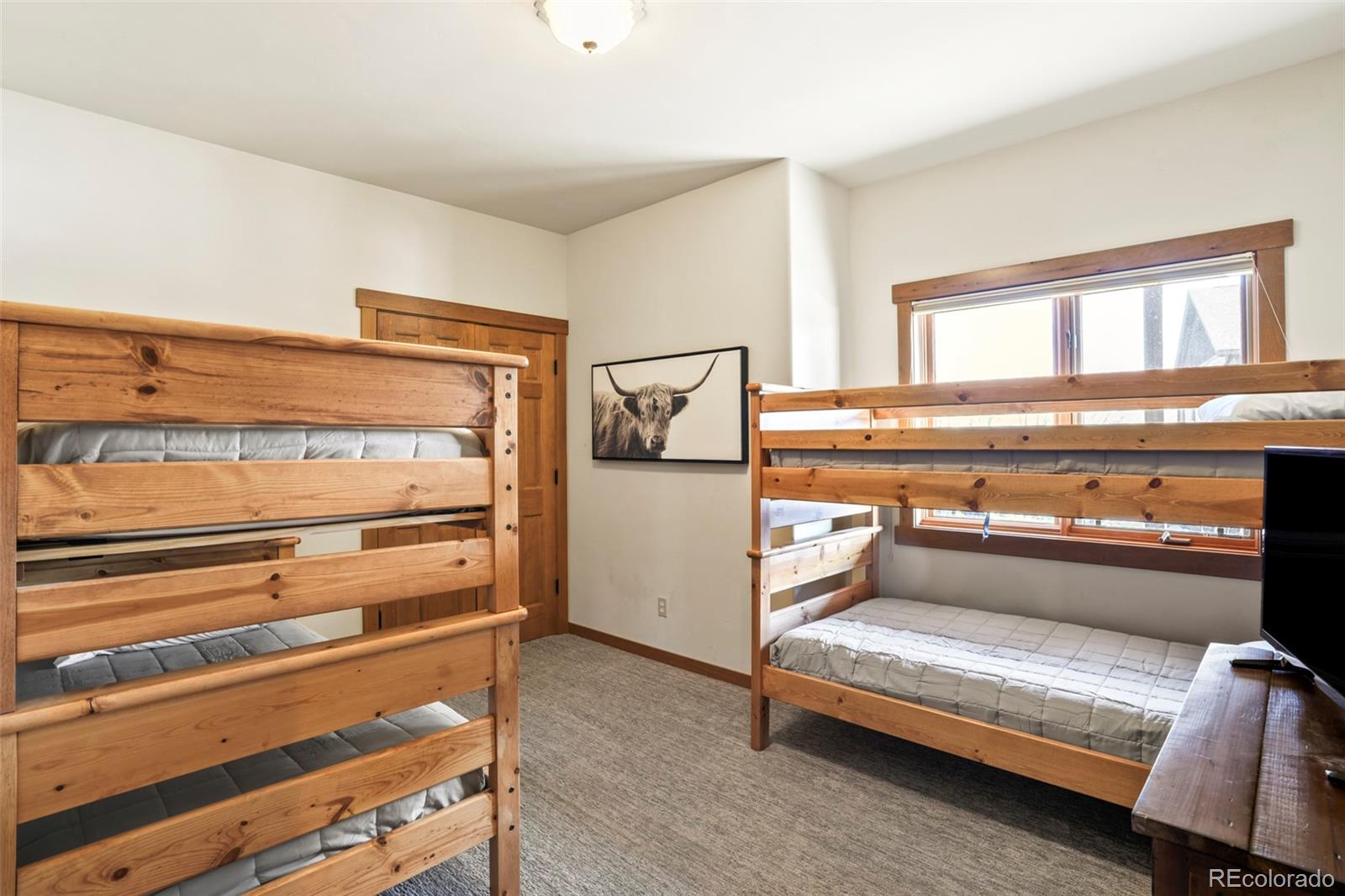 MLS Image #26 for 39  coneflower drive,tabernash, Colorado