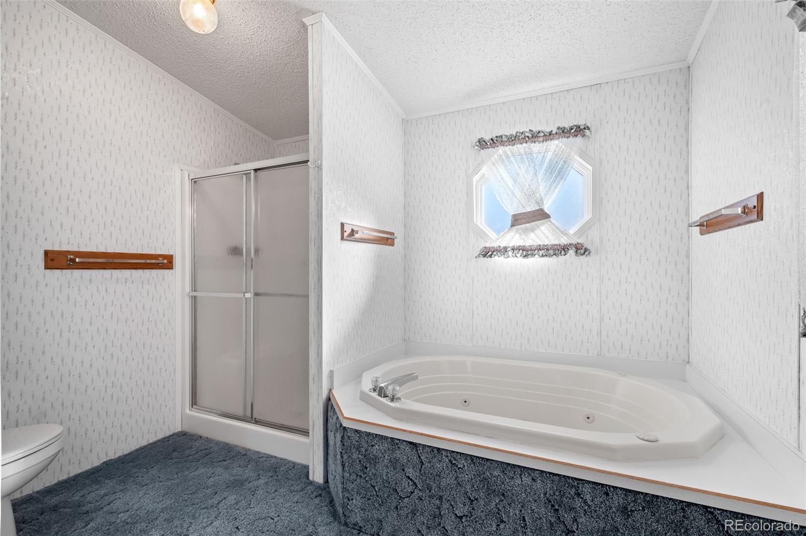 MLS Image #25 for 185  elm street,hudson, Colorado