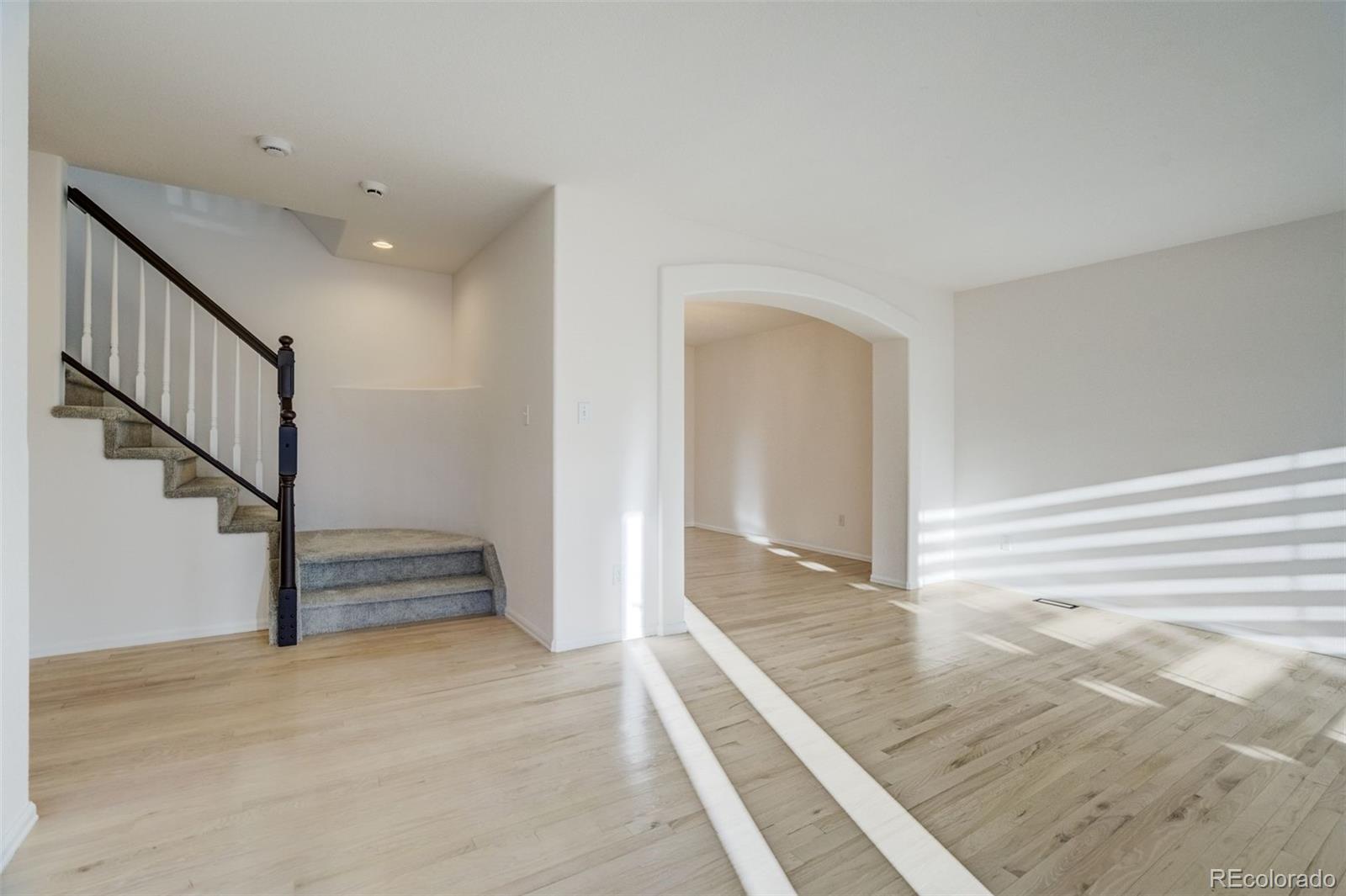 MLS Image #9 for 1512  lookout springs drive,colorado springs, Colorado