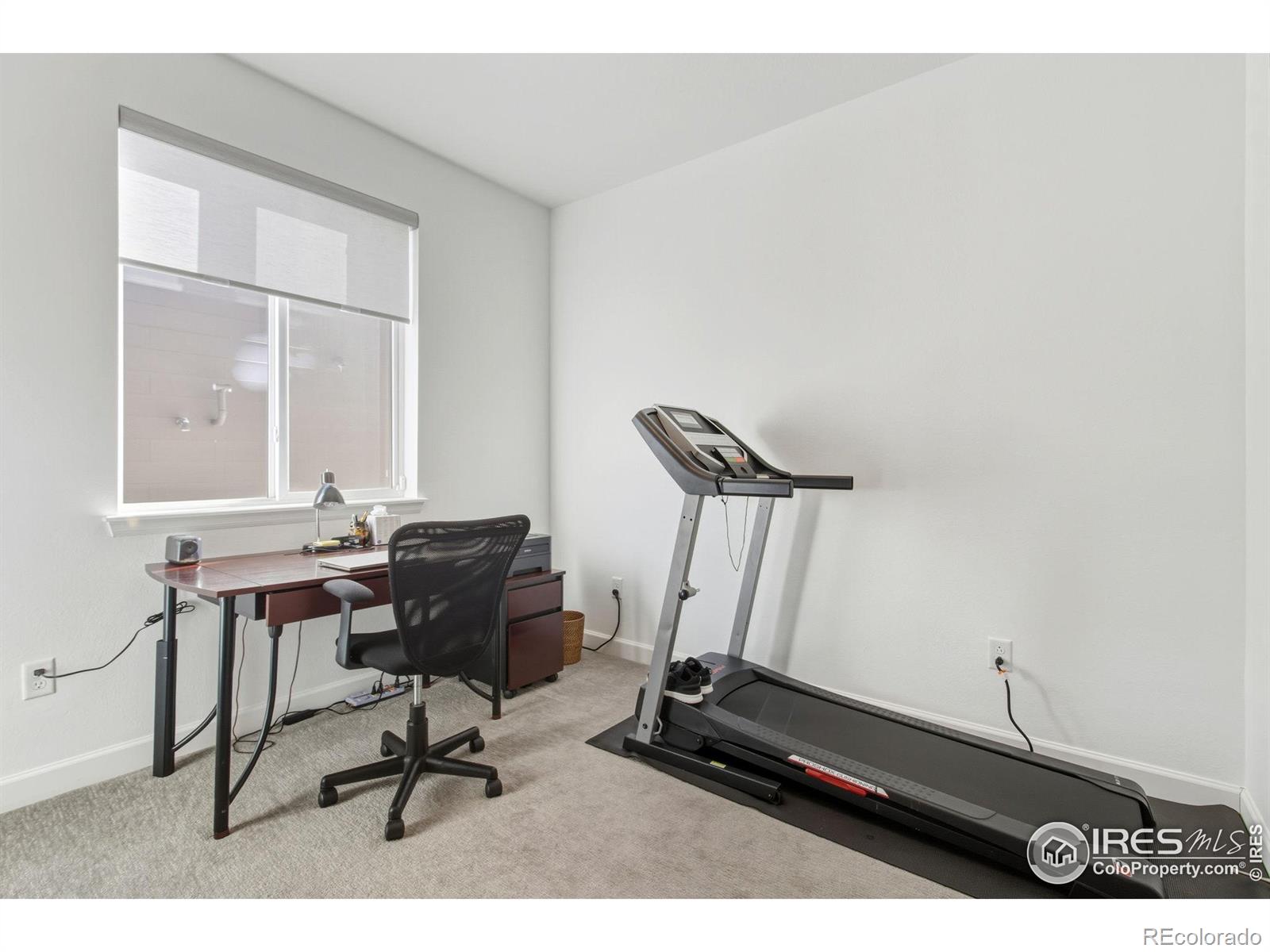 MLS Image #6 for 1819  paley drive,windsor, Colorado