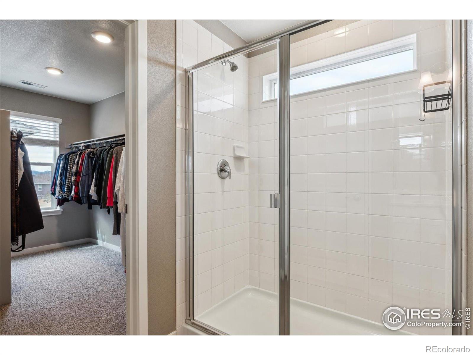 MLS Image #16 for 4238  nicks tail drive,fort collins, Colorado