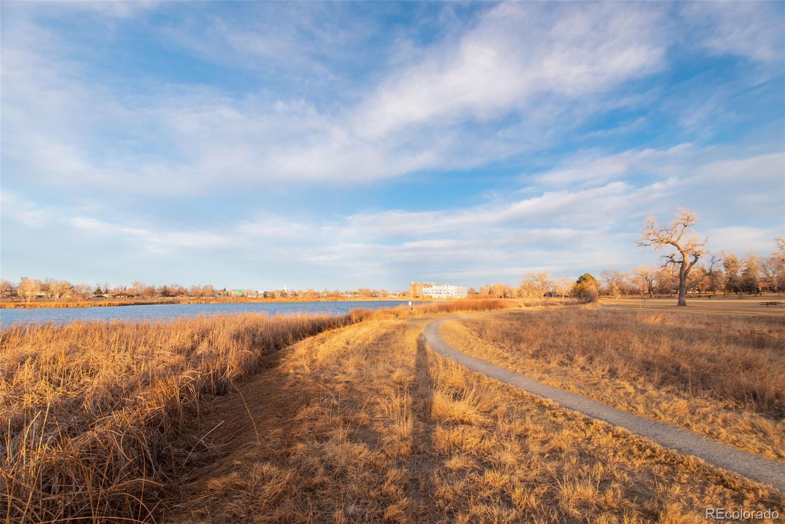 MLS Image #40 for 3233 w scott place,denver, Colorado