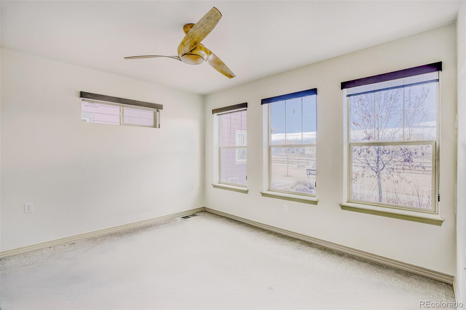 MLS Image #6 for 1205  hummingbird circle,longmont, Colorado