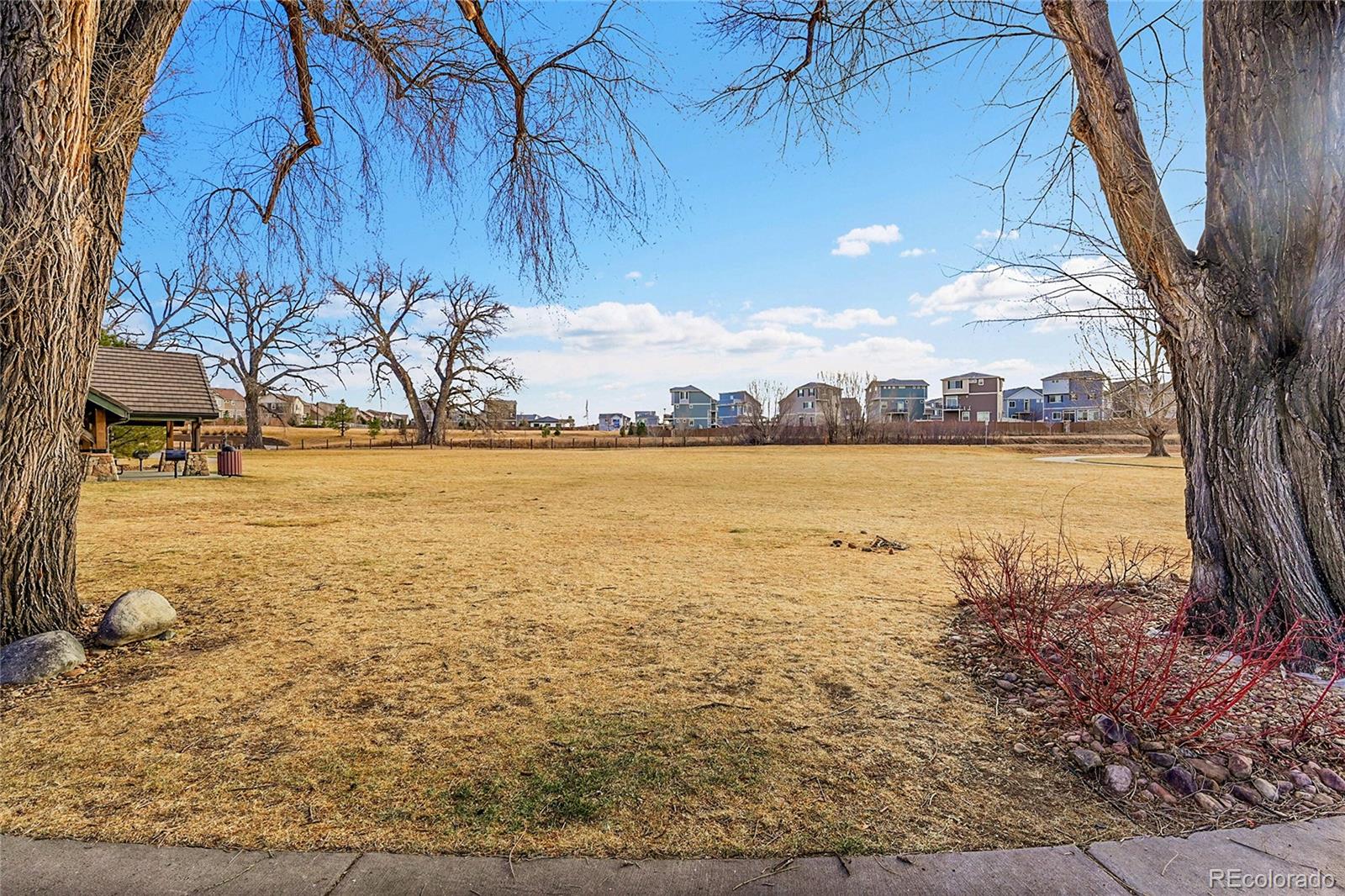 MLS Image #36 for 3793  summerwood way,johnstown, Colorado
