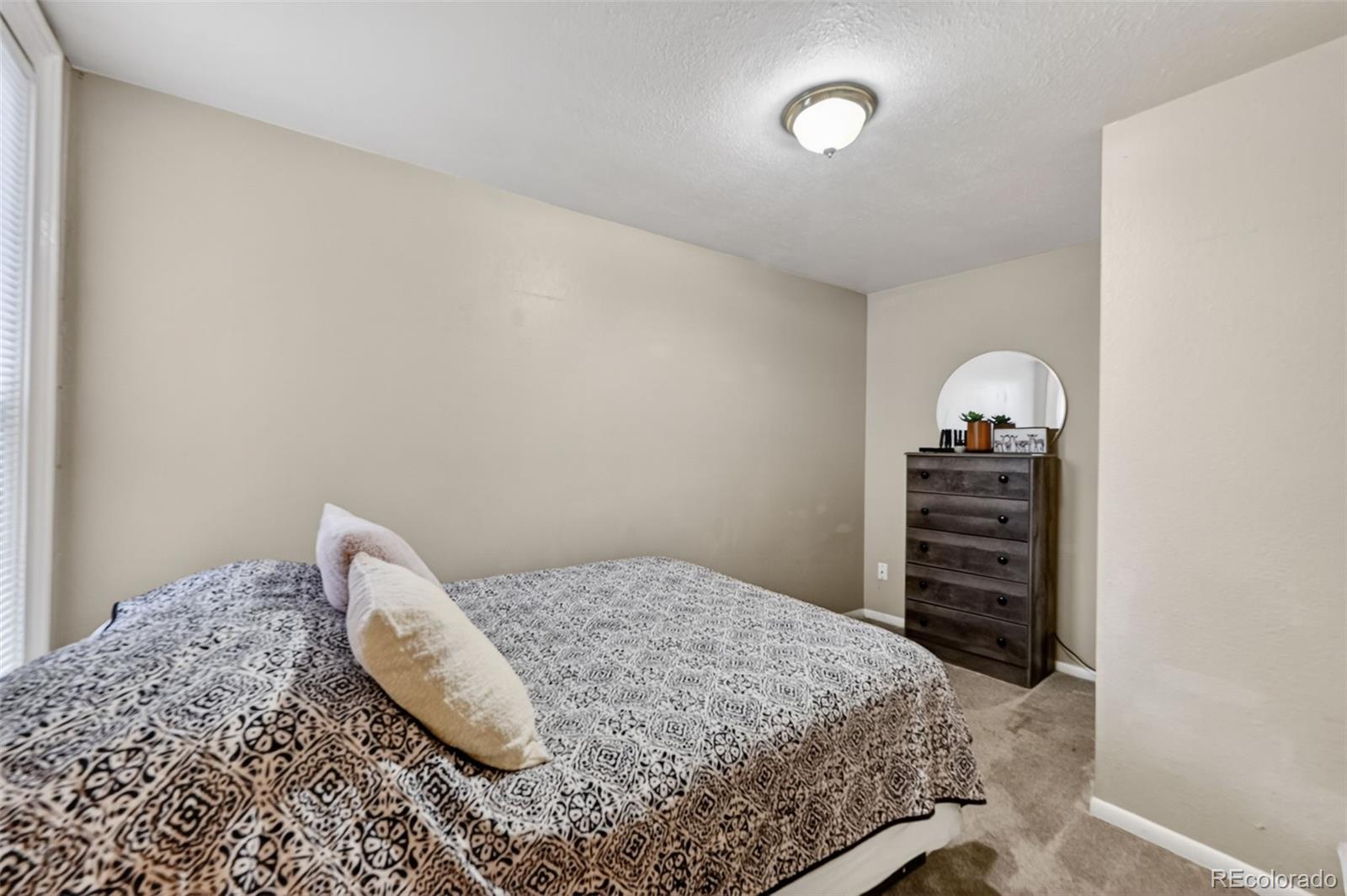 MLS Image #17 for 2432 n weber street,colorado springs, Colorado