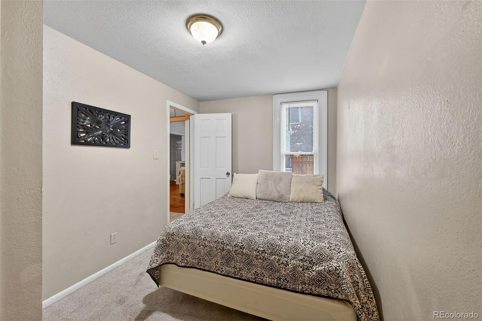 MLS Image #18 for 2432 n weber street,colorado springs, Colorado