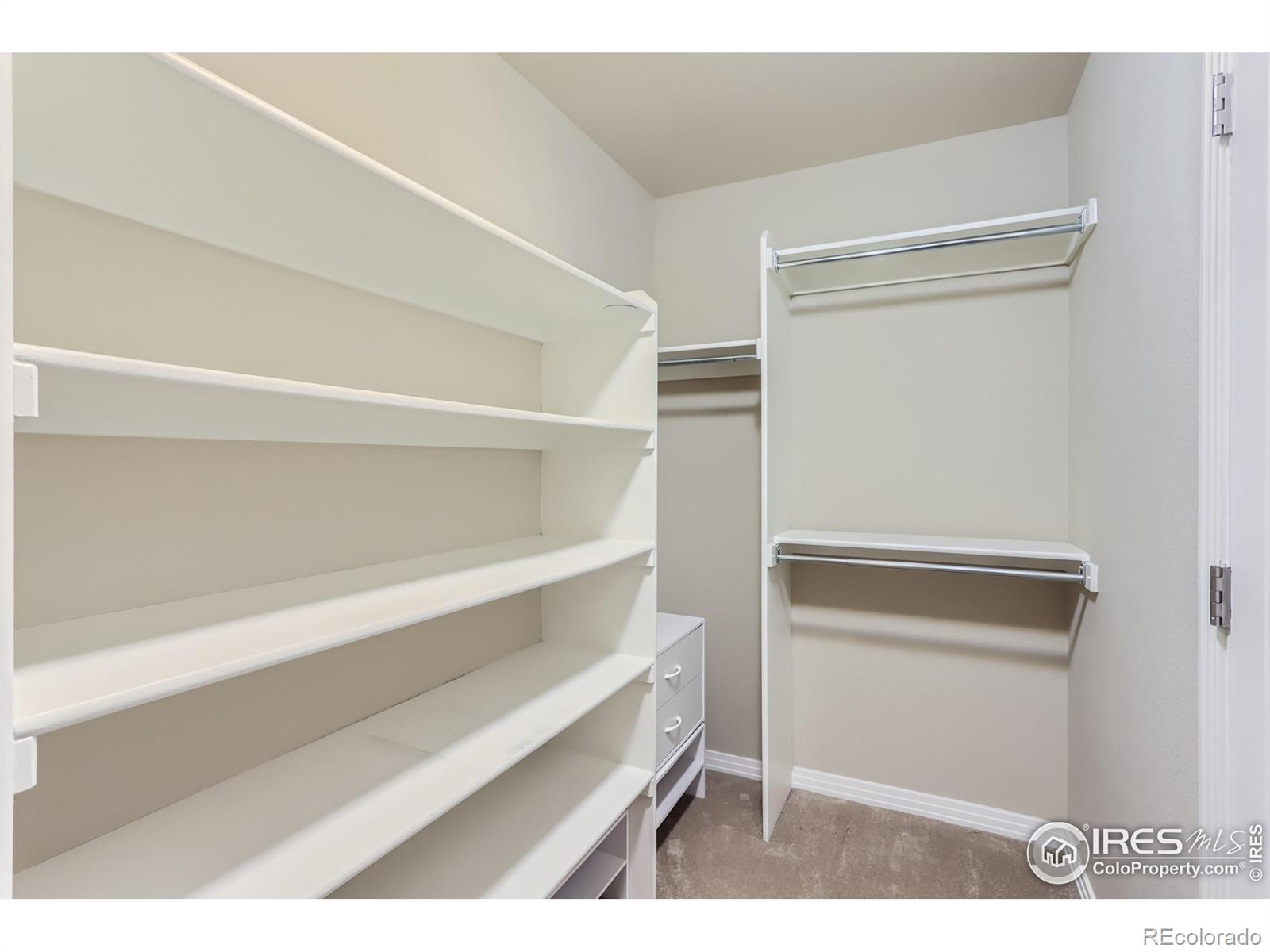 MLS Image #16 for 1831  kalel lane,louisville, Colorado
