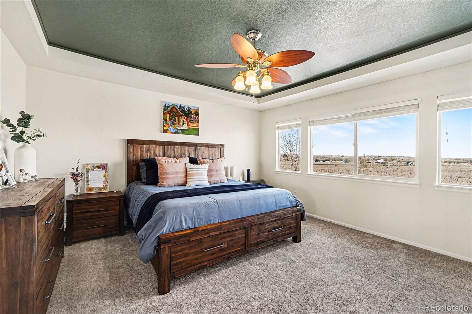 MLS Image #13 for 11423 e 118th place,commerce city, Colorado