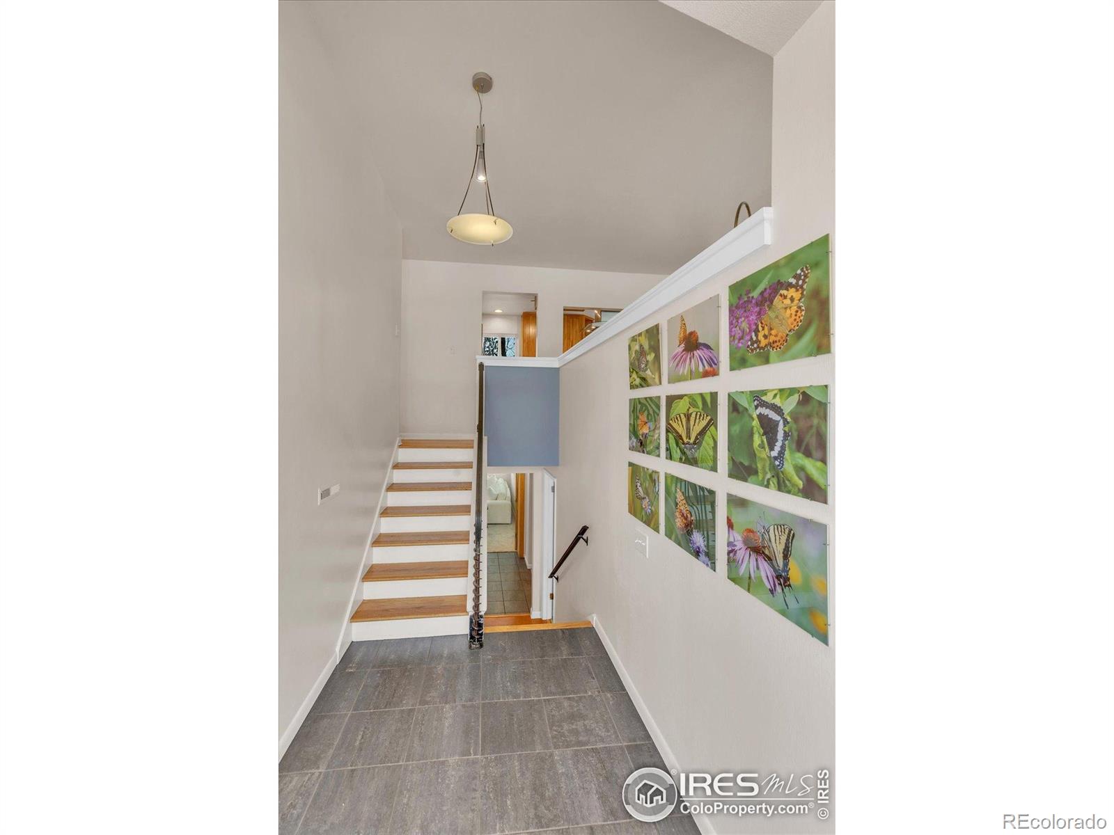 MLS Image #3 for 1190  albion road,boulder, Colorado
