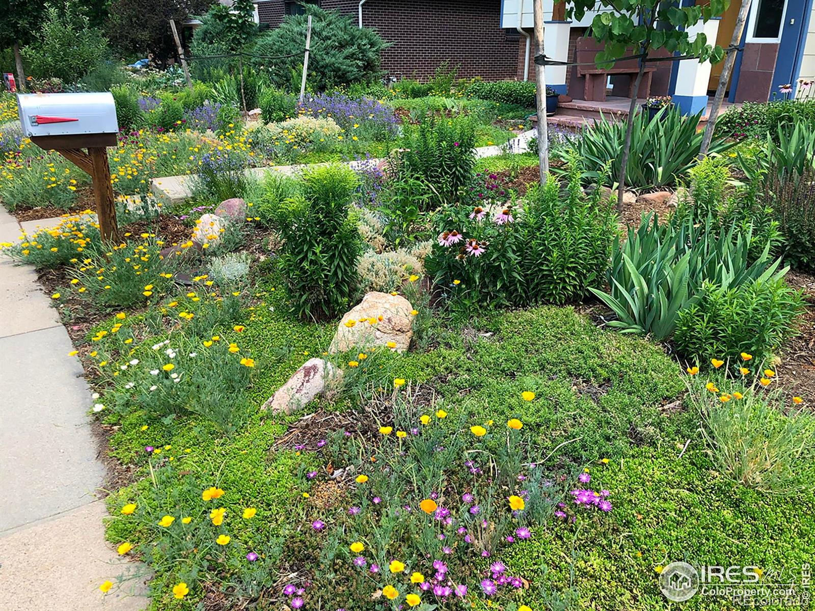MLS Image #38 for 1190  albion road,boulder, Colorado