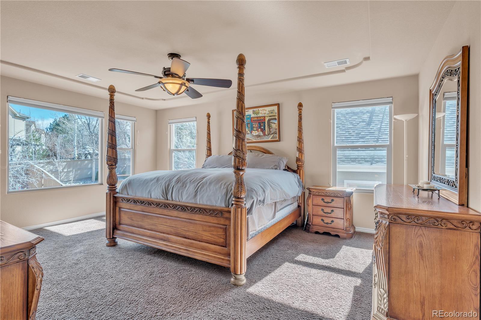 MLS Image #18 for 10632  redvale road,highlands ranch, Colorado