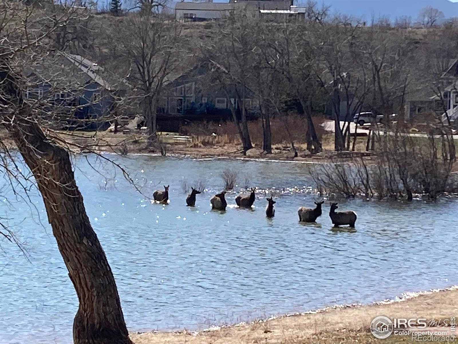 MLS Image #48 for 5408  lighthouse point court,loveland, Colorado