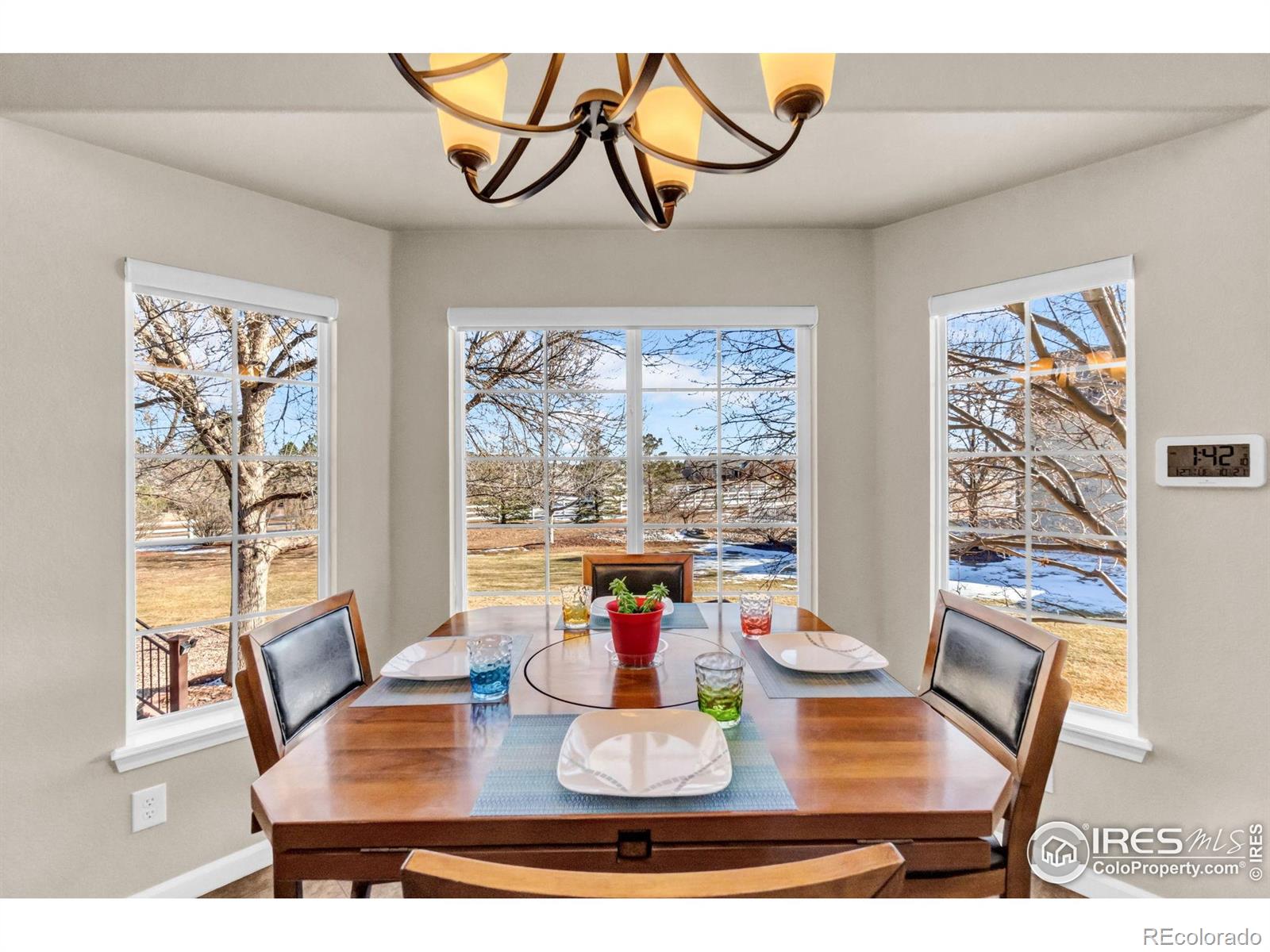 MLS Image #17 for 15280  emporia street,brighton, Colorado