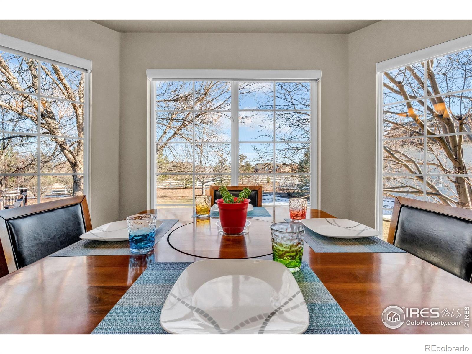 MLS Image #36 for 15280  emporia street,brighton, Colorado