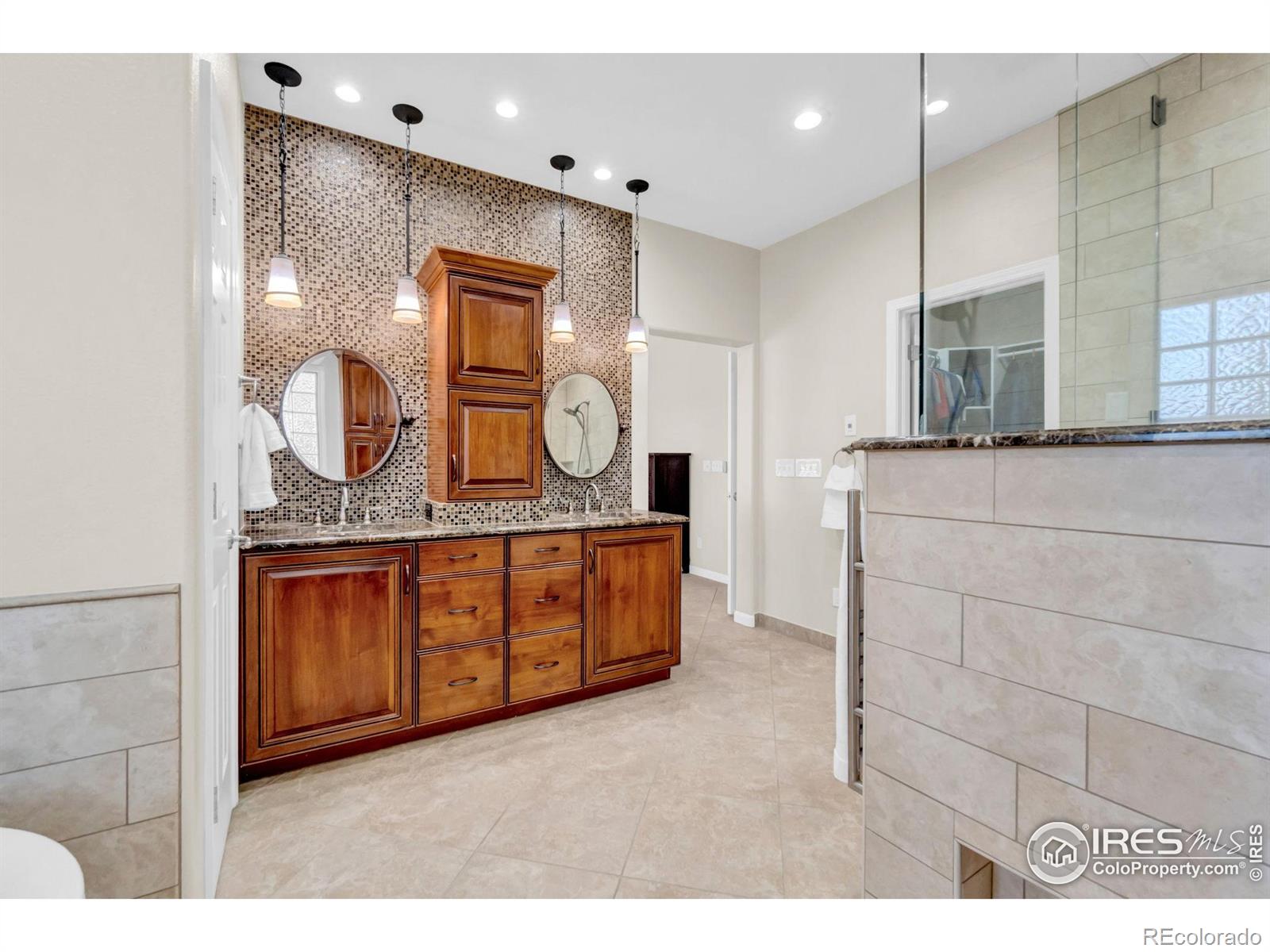 MLS Image #6 for 15280  emporia street,brighton, Colorado