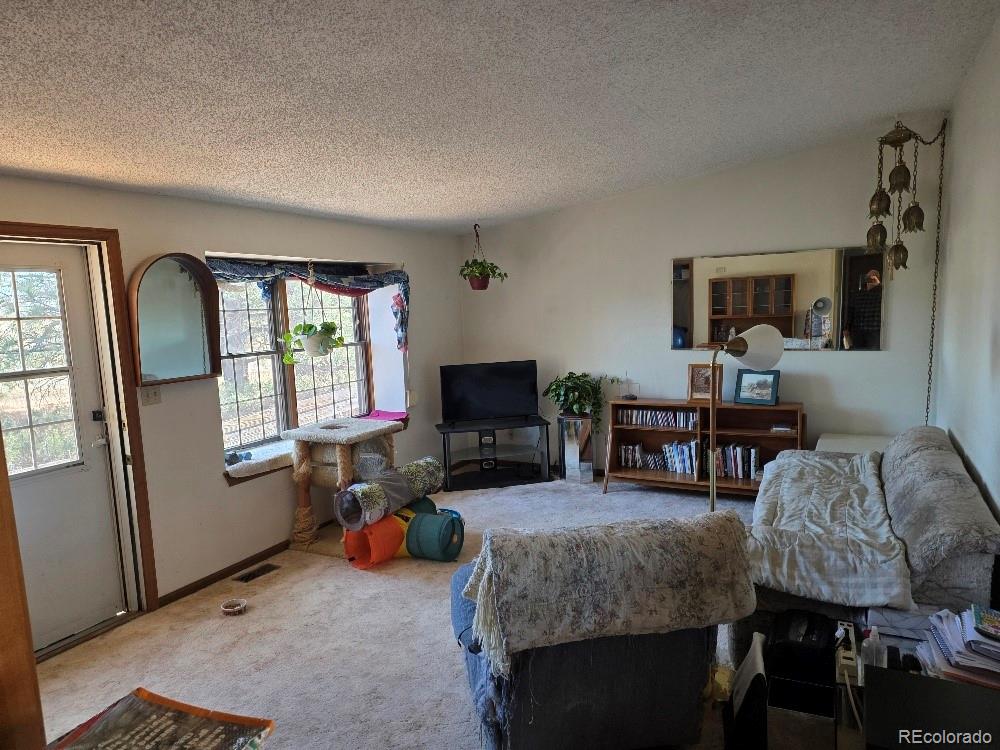 MLS Image #6 for 1445 e 143rd avenue,brighton, Colorado