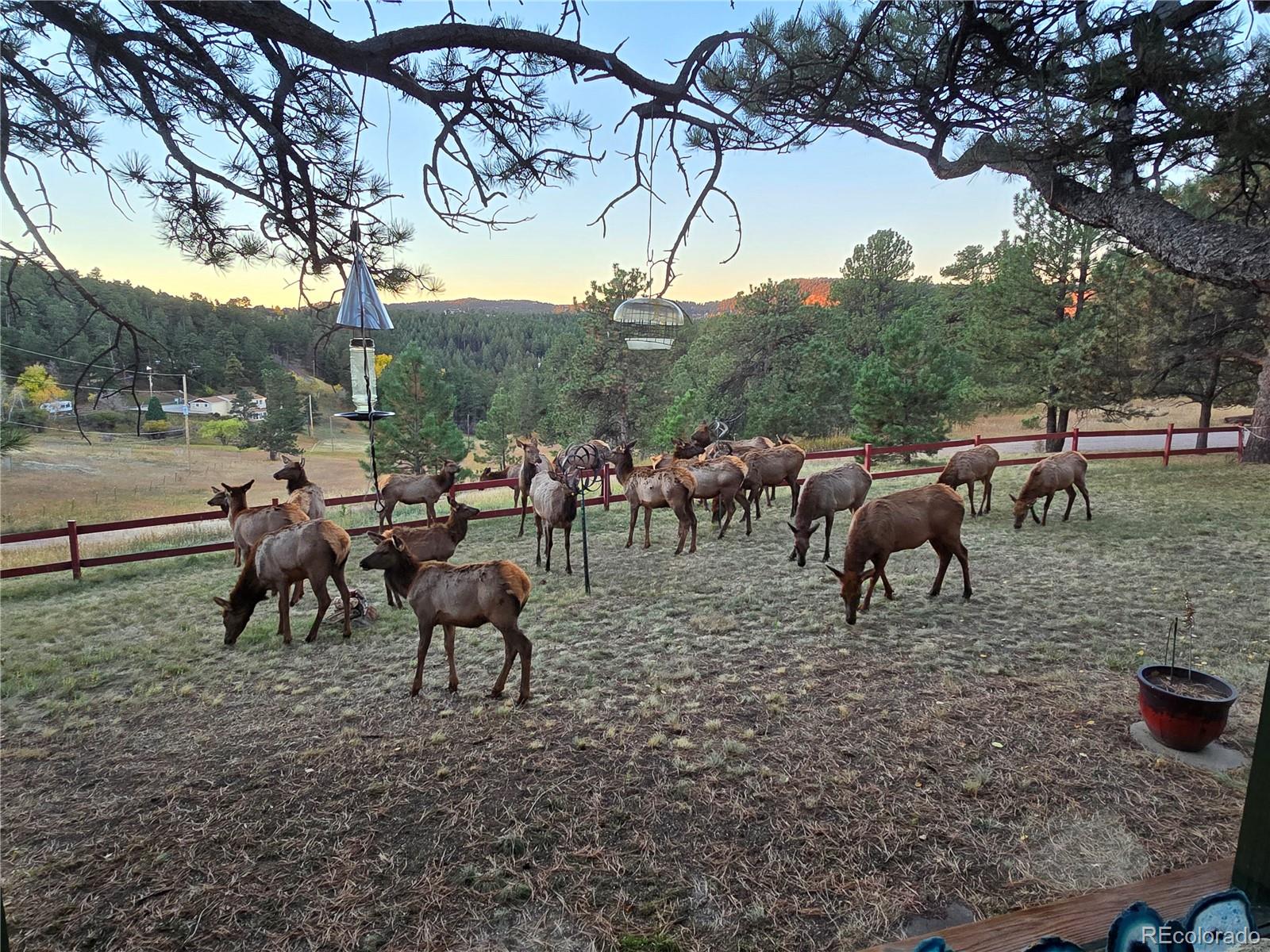 MLS Image #34 for 22901  pinecrest road,golden, Colorado
