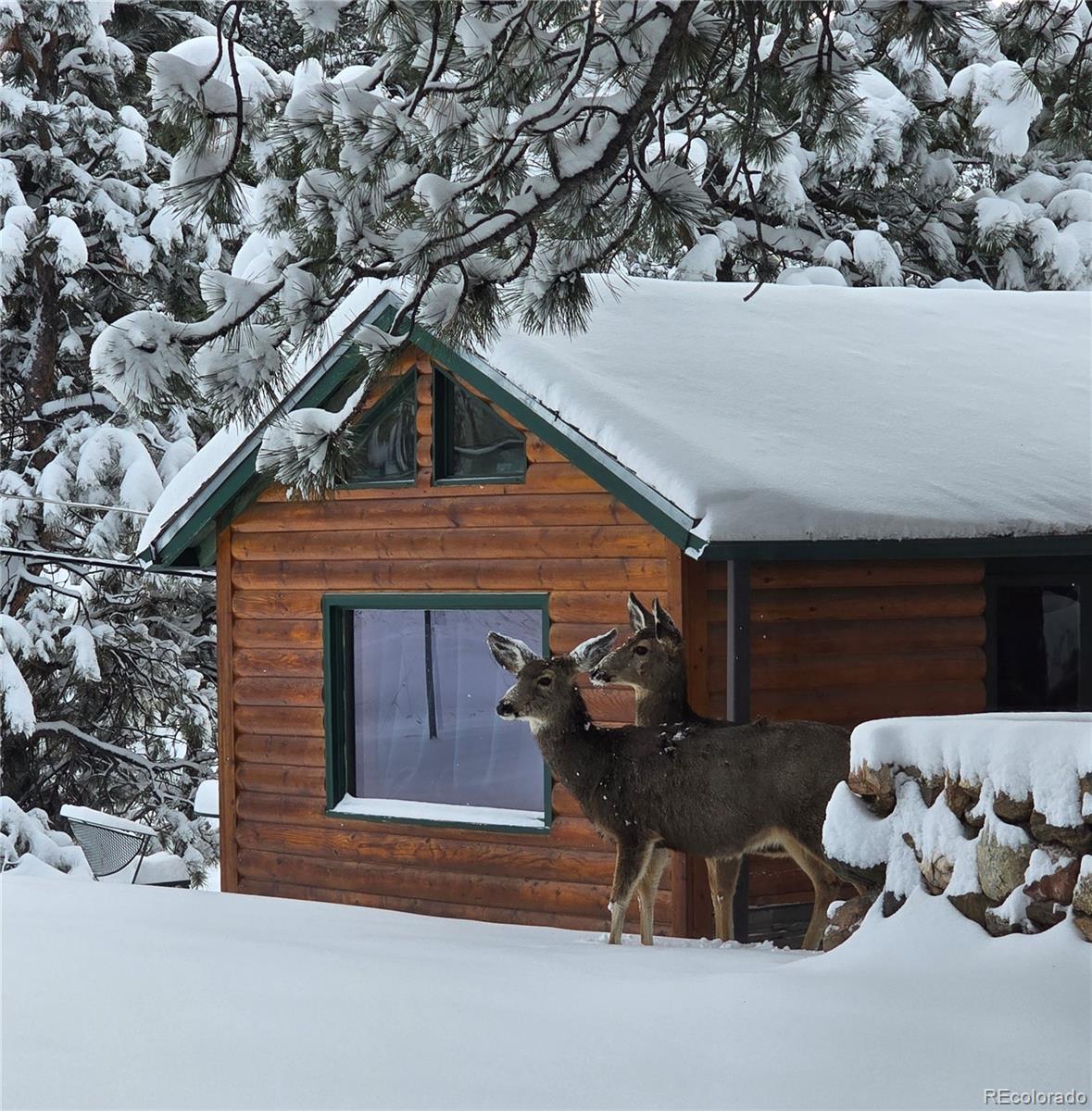MLS Image #36 for 22901  pinecrest road,golden, Colorado