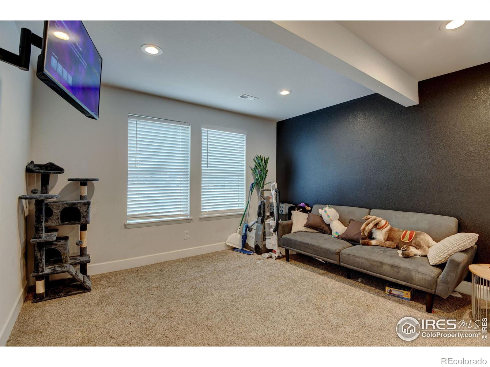 MLS Image #15 for 18863 w 94th lane,arvada, Colorado
